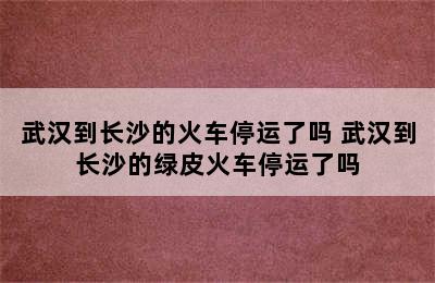 武汉到长沙的火车停运了吗 武汉到长沙的绿皮火车停运了吗